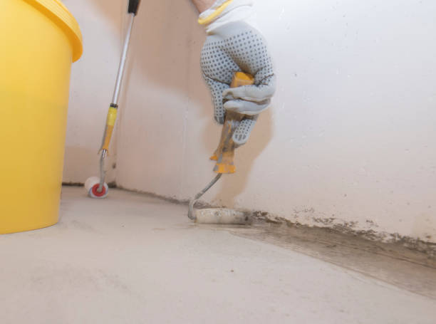 Best Residential Pest Control  in Hudson, IL